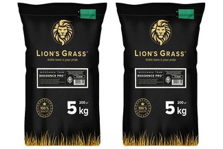Trawa na tereny przydomowe i trawniki reprezentacyjne Lion's Grass RESIDENCE PRO Premium 10 kg Rolmarket