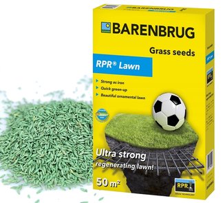 Trawa sportowa odporna na wydeptywanie Barenbrug Barpower RPR Play & Sport 1 kg