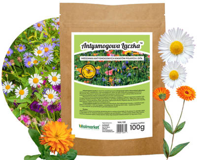 Mieszanka nasion kwiatów polnych i ziół oczyszczające powietrze Antysmogowa Łączka 100% kwiatów Rolmarket 100g